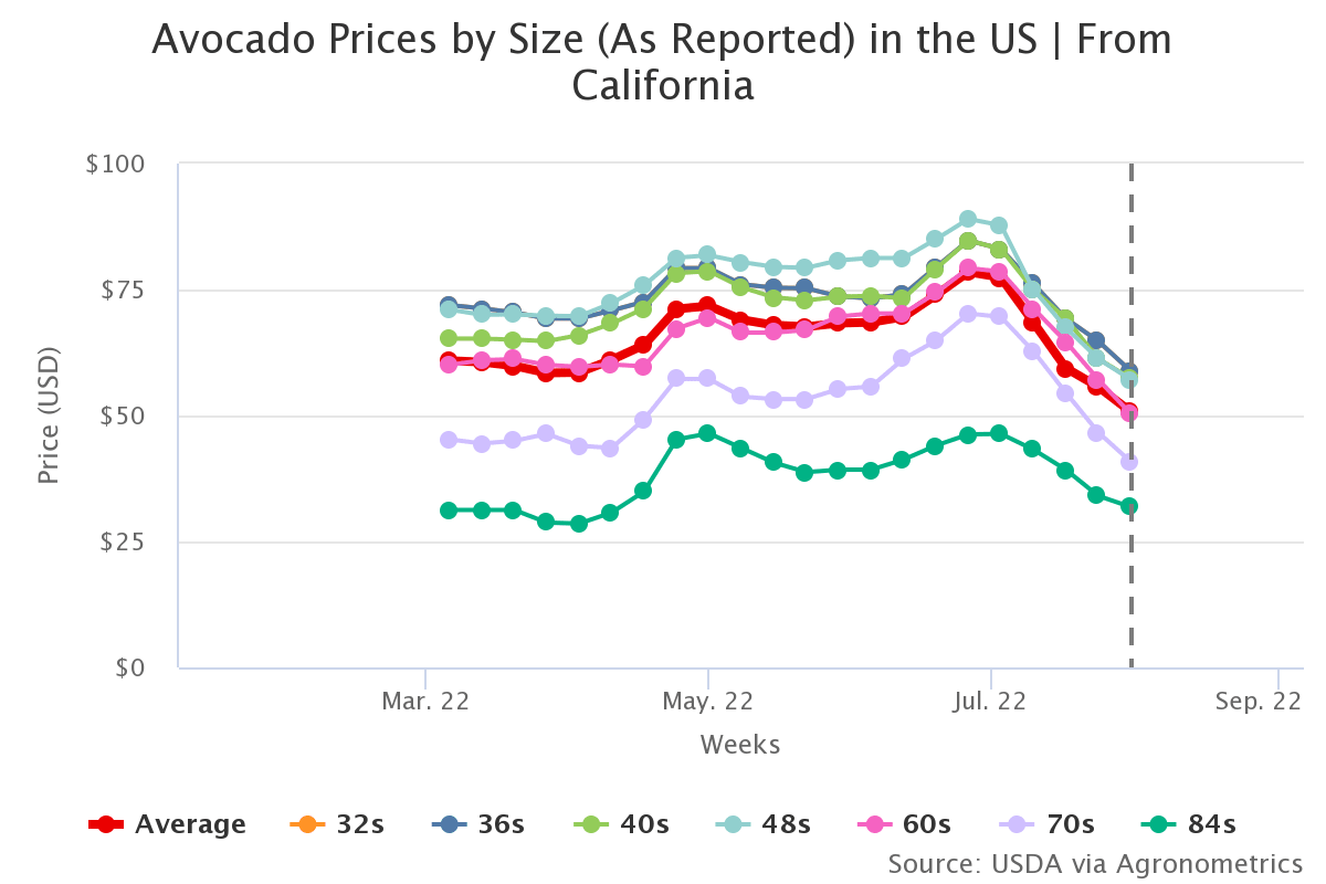 avocado prices by size a 5
